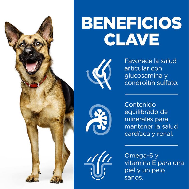 Hill's Science Plan Mature Adult Large Pollo pienso para perros, , large image number null